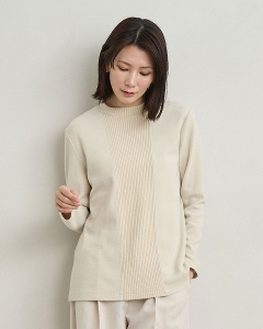 ���u�A�N�Z���g�`���j�b�N